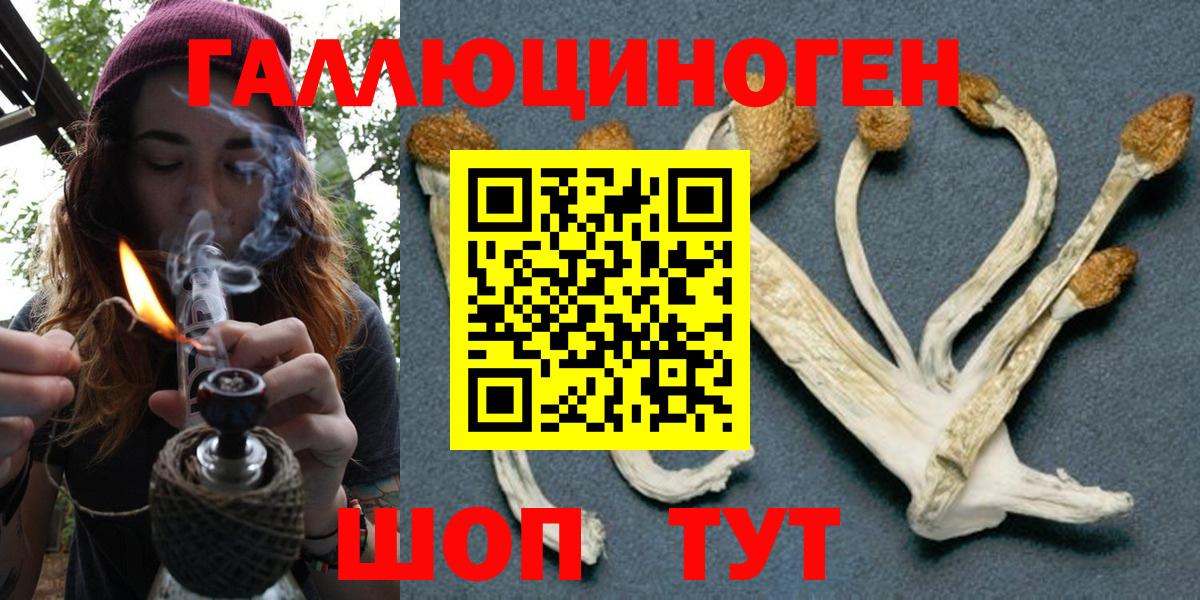Псилоцибиновые грибы Psilocybine cubensis Лосино-Петровский
